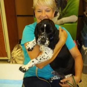 Meet your Posher, Donna